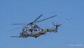 caracal-a74n_02866