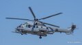 caracal-a74n_02869