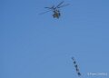 caracal-a74n_02876