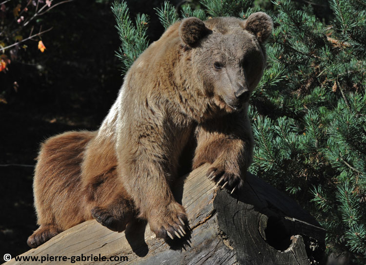 ours_3953.jpg