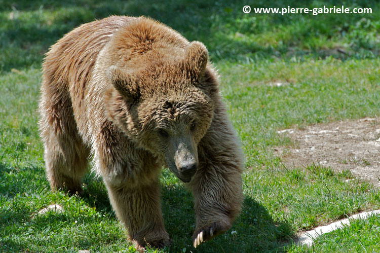 ours_7700.jpg