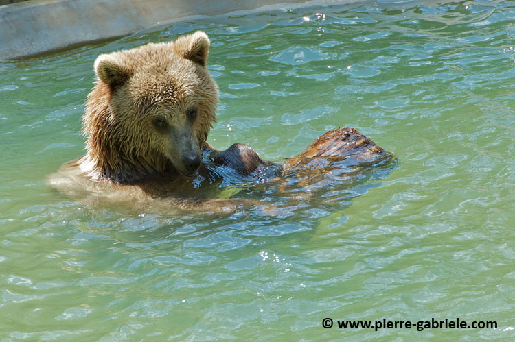 ours_7701.jpg
