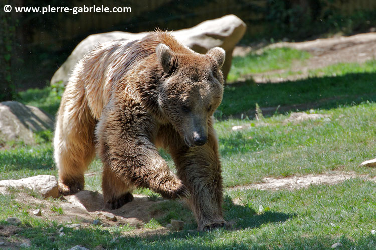 ours_7704.jpg