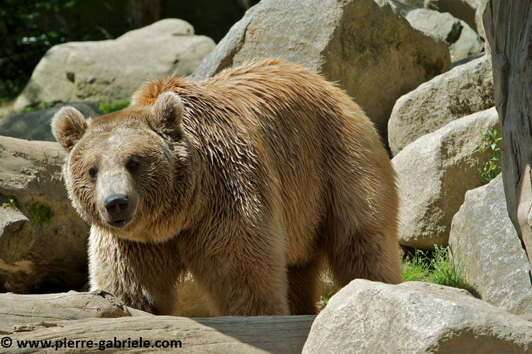 ours_7713.jpg