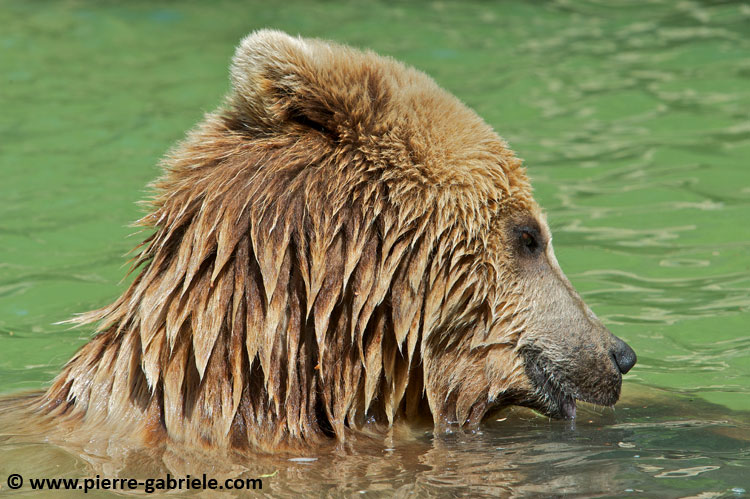 ours_7714.jpg