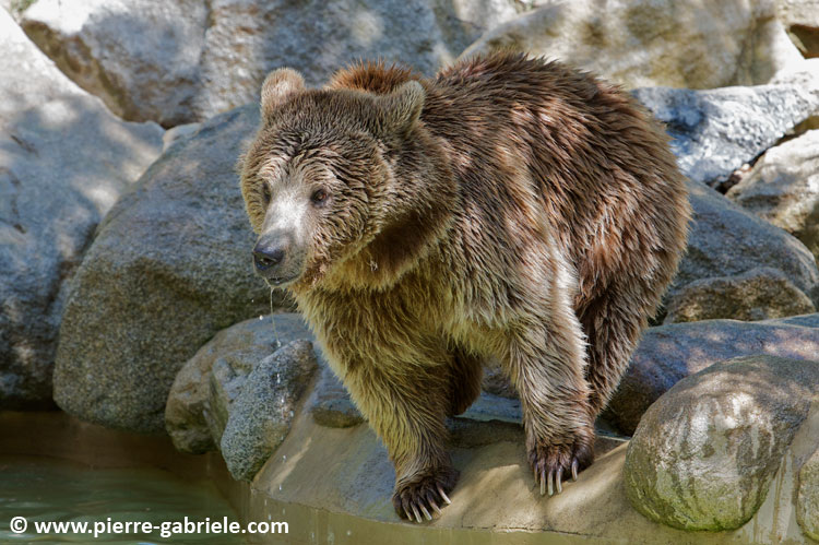 ours_7716.jpg