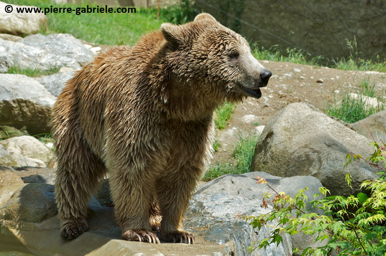 ours_7717.jpg