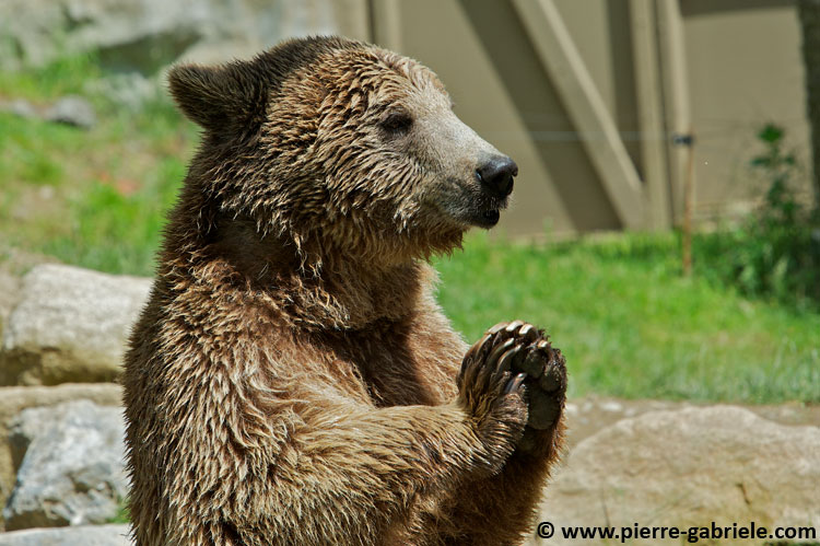 ours_7720.jpg