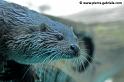 faune_9886