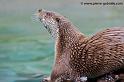 faune-2011_6831