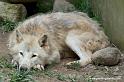 faune-2011_6855