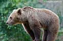 faune-2011_6857