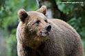 faune-2011_6859