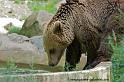 faune-2011_6867