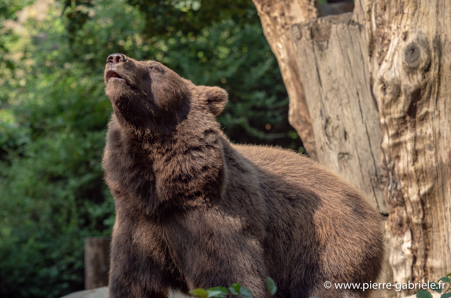 ours-g91_4059.jpg