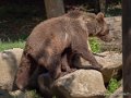ours-g91_4055