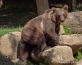 ours-g91_4056