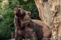 ours-g91_4059