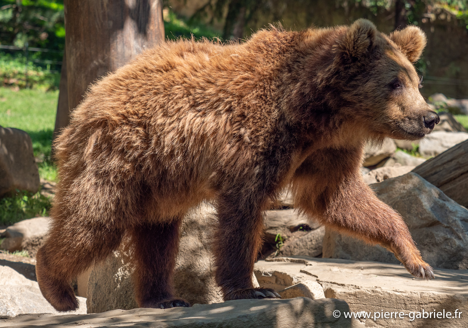 ours-g91_6042.jpg
