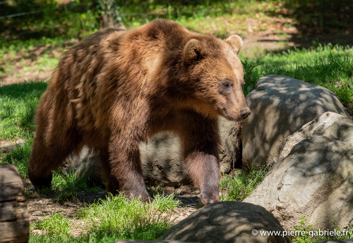 ours-g91_6044.jpg