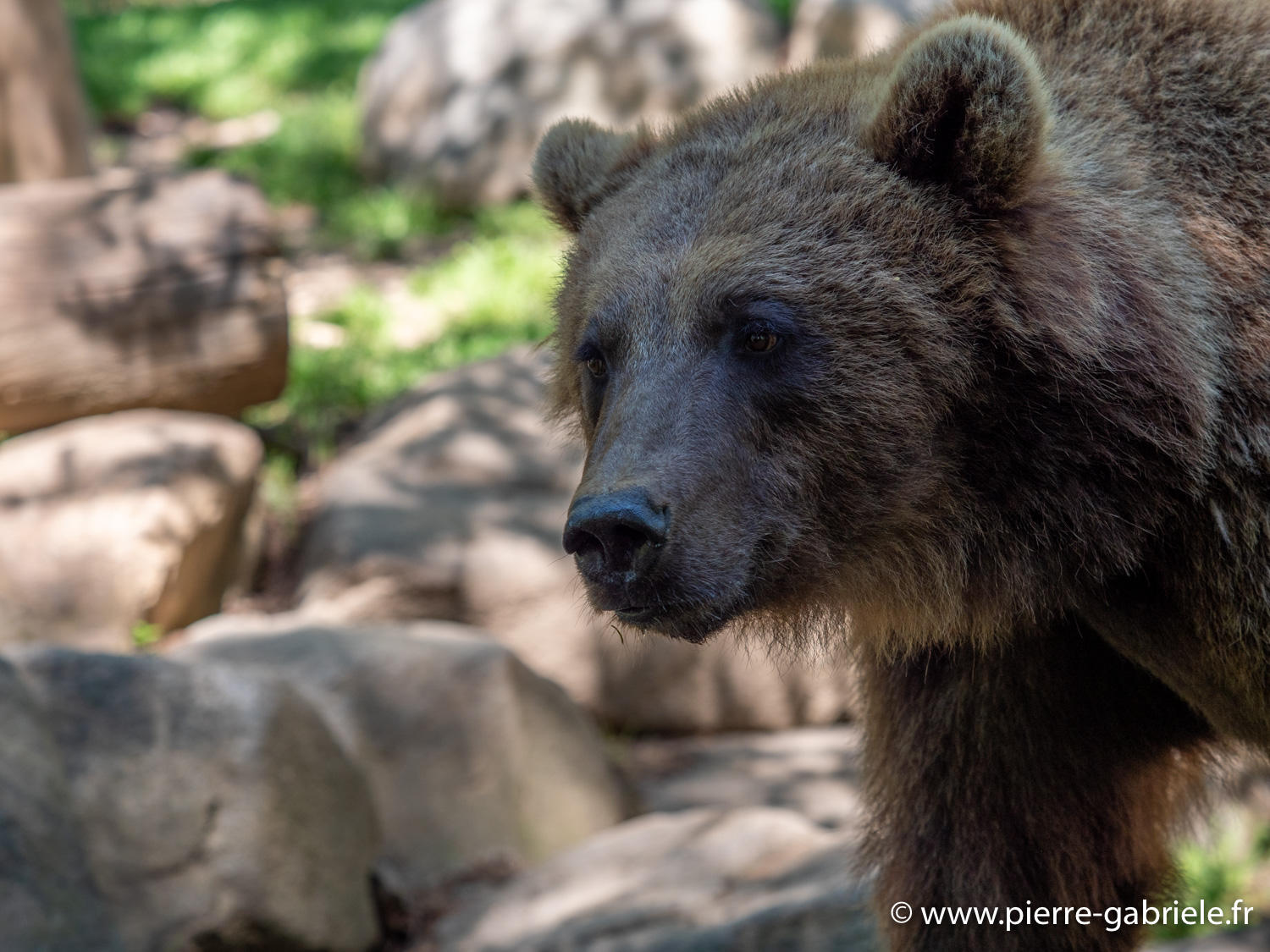 ours-g91_6046.jpg