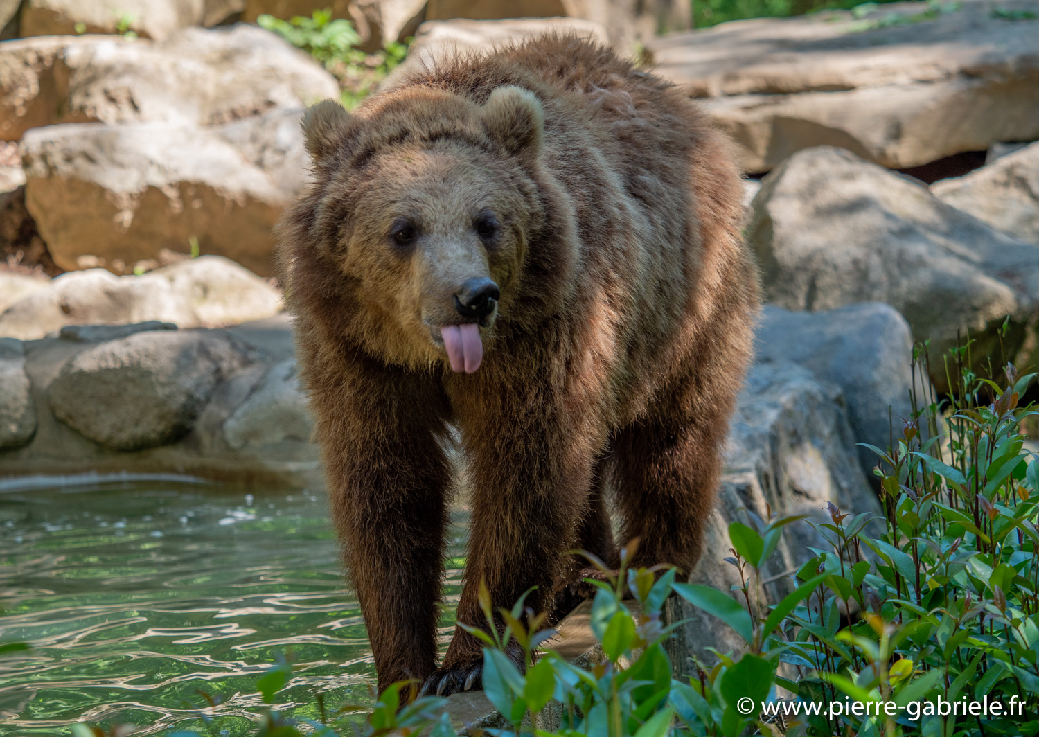 ours-g91_6048.jpg