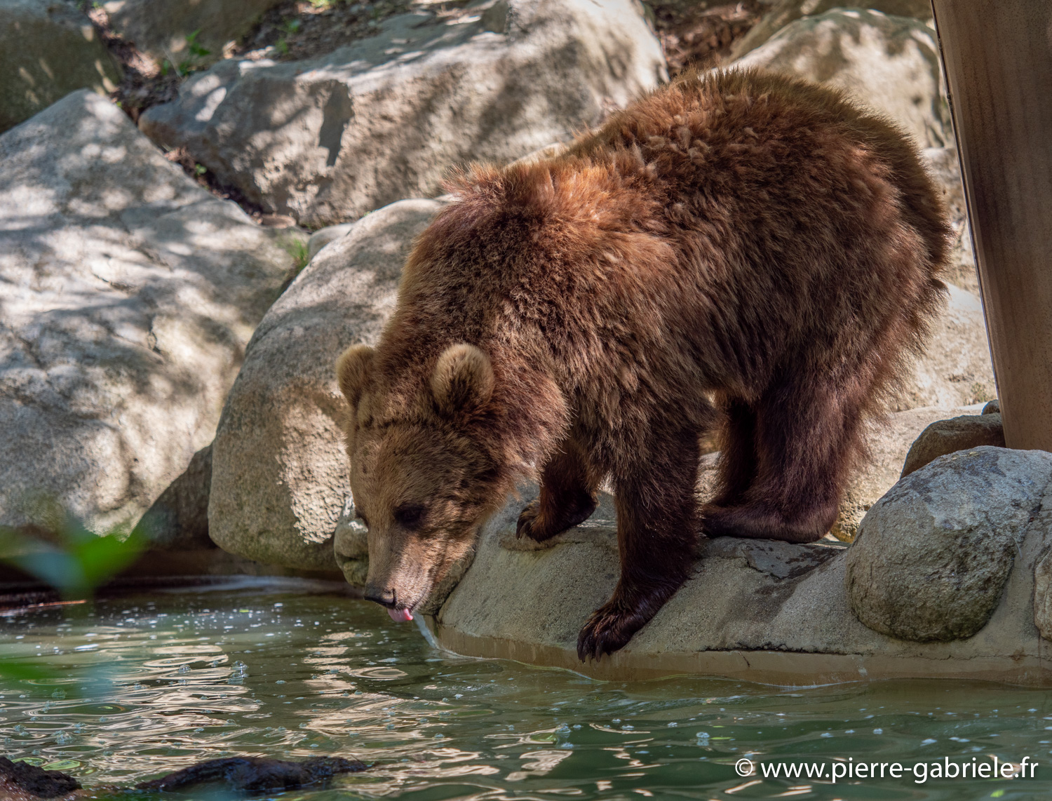 ours-g91_6049.jpg