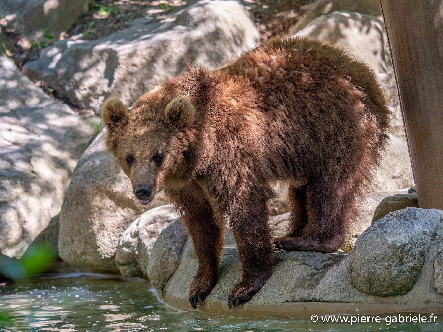 ours-g91_6050.jpg