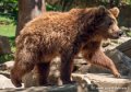 ours-g91_6042