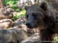 ours-g91_6046