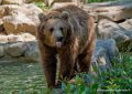 ours-g91_6048