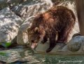 ours-g91_6049