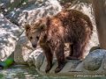 ours-g91_6050