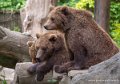 ours-g93_7845