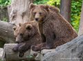 ours-g93_7846