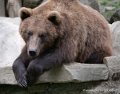 ours-g93_7847