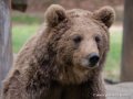 ours-g93_7851