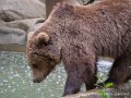 ours-g93_7854