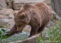 ours-g93_7855