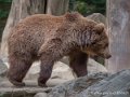 ours-g93_7857