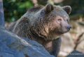 ours-a74_00875-Modifier
