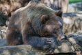 ours-a74_00880-topaz