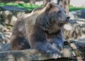 ours-a74_00881