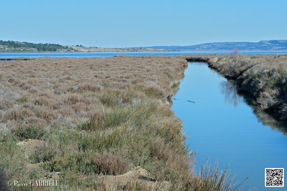 reserve_6955.jpg