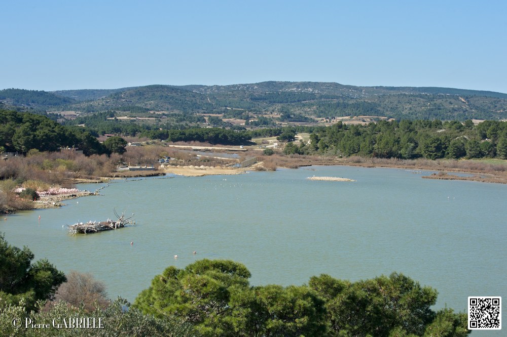 reserve_6984.jpg