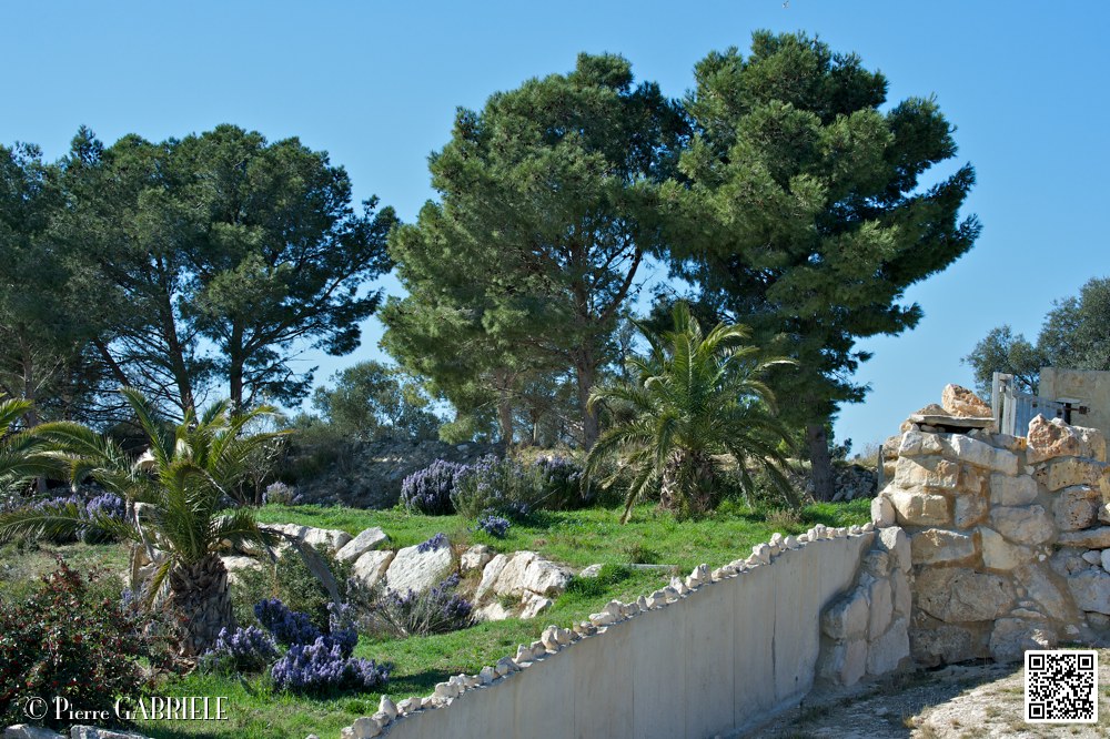 reserve_7005.jpg