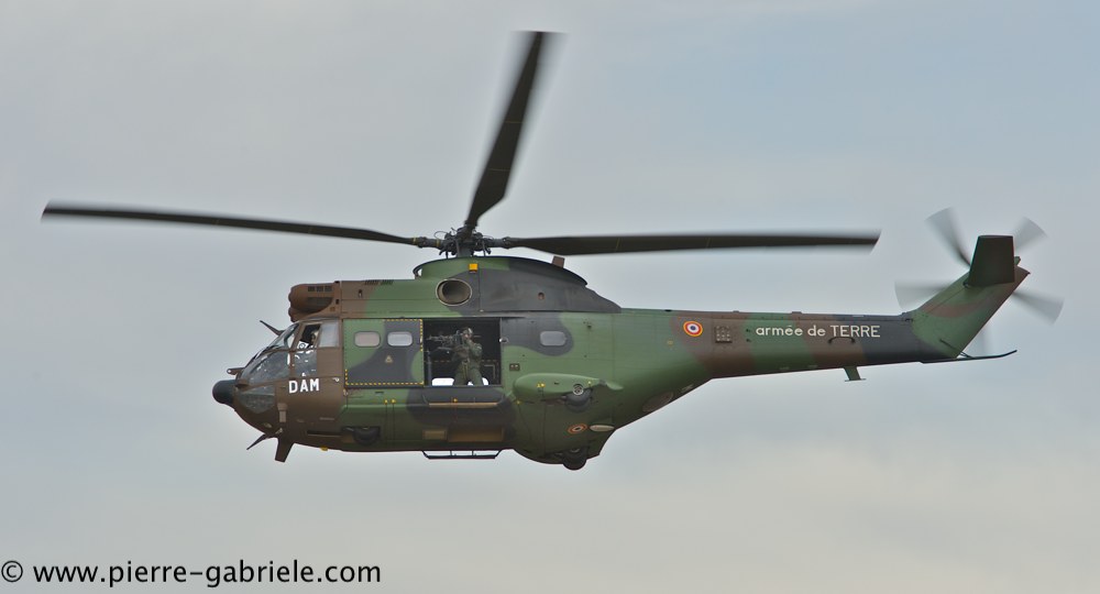 sa330-puma_4257.jpg