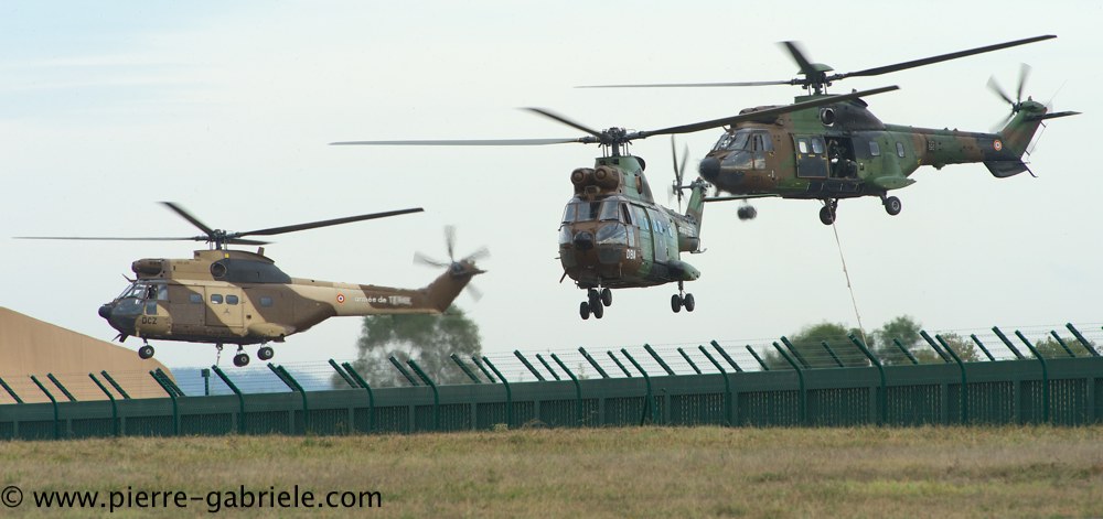 sa330-puma_4283.jpg