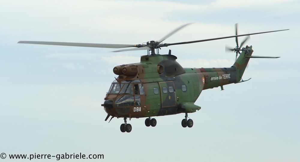 sa330-puma_4287.jpg