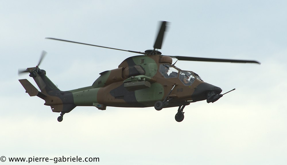 tigre_4227.jpg
